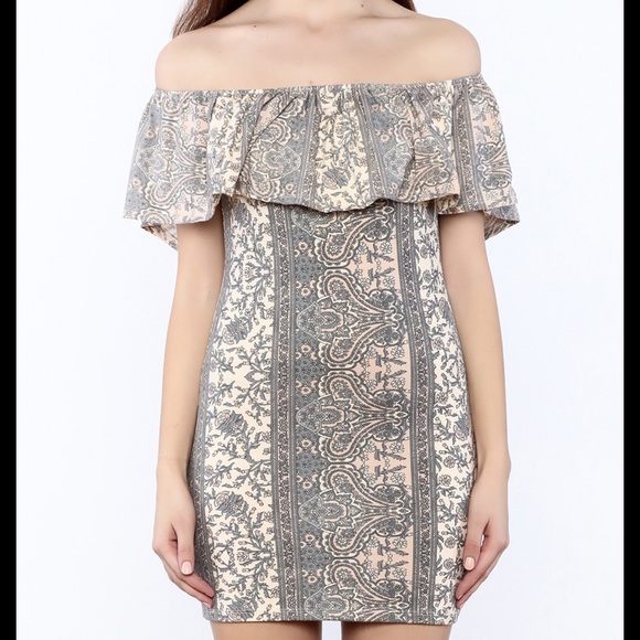 EUC Honey Punch Paisley Ruffle Minidress - Picture 5 of 5